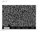 Fig. 02 - POLYMER SUBSTRATE HAVING PORE ON SURFACE, AND SURFACE TREATMENT METHOD FOR POLYMER SUBSTRATE THEREOF
