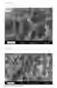 Fig. 03 - POLYMER SUBSTRATE HAVING PORE ON SURFACE, AND SURFACE TREATMENT METHOD FOR POLYMER SUBSTRATE THEREOF