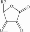 Fig. 09 - BIOBINDER