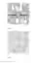 Fig. 06 - Corrosion Inhibiting Coating Based on Cerium Oxide and a Catecholic Polymer