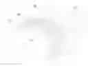 Fig. 01 - TIRE HAVING COFFEE GRAINS