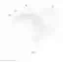 Fig. 02 - TIRE HAVING COFFEE GRAINS