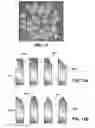 Fig. 09 - SHAPED ABRASIVE PARTICLE AND METHOD OF FORMING SAME