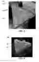 Fig. 03 - Composite shaped abrasive particles and method of forming same
