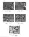 Fig. 15 - Shaped abrasive particles and method of forming same