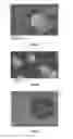 Fig. 02 - THERMALLY CONDUCTING CAPSULES COMPRISING A PHASE CHANGE MATERIAL