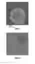 Fig. 04 - THERMALLY CONDUCTING CAPSULES COMPRISING A PHASE CHANGE MATERIAL
