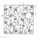Fig. 01 - Suspensions for protecting semiconductor materials and methods of producing semiconductor bodies