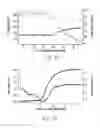Fig. 07 - Amide branched aromatic celling agents