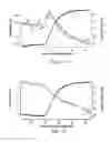 Fig. 09 - Amide branched aromatic celling agents