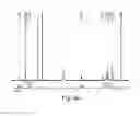 Fig. 24 - Amide branched aromatic celling agents