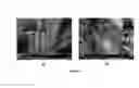 Fig. 42 - Multifunctional foaming composition with wettability modifying, corrosion inhibitory and mineral scale inhibitory/dispersants properties for high temperature and ultra high salinity