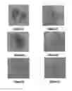 Fig. 02 - Method of forming an antifoam granule comprising a silicone polyether