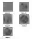 Fig. 03 - Method of forming an antifoam granule comprising a silicone polyether