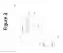 Fig. 13 - Systems and methods for wine processing