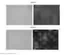 Fig. 04 - OPTIMISED METHOD FOR BREAKING CHLORELLA CELL WALLS BY MEANS OF VERY HIGH PRESSURE HOMOGENISATION