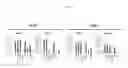 Fig. 02 - Method for producing dopaminergic neurons