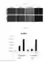 Fig. 03 - Method for producing dopaminergic neurons
