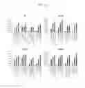 Fig. 09 - Method for producing dopaminergic neurons