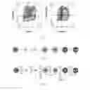 Fig. 02 - Serum-free in vitro directed differentiation protocol for generating stem cell-derived beta cells and uses thereof