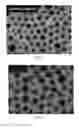 Fig. 02 - Methods for generating stem cell-derived beta cells and methods of use thereof