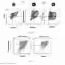 Fig. 03 - Methods for generating stem cell-derived beta cells and methods of use thereof
