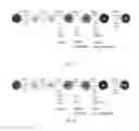 Fig. 05 - Methods for generating stem cell-derived beta cells and methods of use thereof