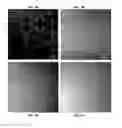 Fig. 03 - Combinational use of mechanical manipulation and programin derivatives to increase Oct4, Sox2, or Nanog expression in fibroblasts