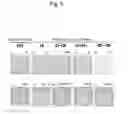 Fig. 06 - Method for screening for pluripotent stem cell growth-promoting factor