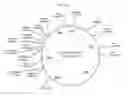 Fig. 35 - Bacteria engineered to treat diseases associated with hyperammonemia