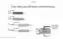 Fig. 72 - Bacteria engineered to treat diseases associated with hyperammonemia
