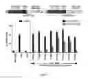 Fig. 05 - Cas9-DNA targeting unit chimeras