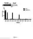 Fig. 07 - Cas9-DNA targeting unit chimeras