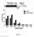 Fig. 08 - Cas9-DNA targeting unit chimeras