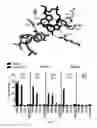 Fig. 11 - Cas9-DNA targeting unit chimeras