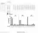 Fig. 13 - Cas9-DNA targeting unit chimeras