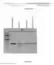 Fig. 17 - Cas9-DNA targeting unit chimeras
