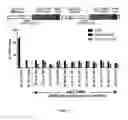 Fig. 19 - Cas9-DNA targeting unit chimeras