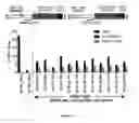 Fig. 20 - Cas9-DNA targeting unit chimeras