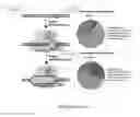 Fig. 84 - Cas9-DNA targeting unit chimeras