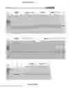 Fig. 89 - Cas9-DNA targeting unit chimeras