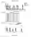 Fig. 96 - Cas9-DNA targeting unit chimeras