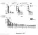 Fig. 99 - Cas9-DNA targeting unit chimeras