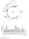Fig. 02 - Heterologous expression of termite cellulases in yeast
