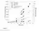 Fig. 06 - Heterologous expression of termite cellulases in yeast