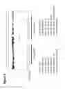 Fig. 07 - Methods and compostions for targeted genomic deletion