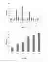 Fig. 14 - Random RNA libraries, methods of generating same, and screening methods utilizing same