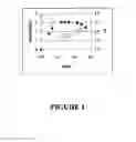 Fig. 02 - Compositions and methods using capsids resistant to hydrolases