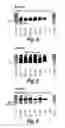 Fig. 04 - Antisense molecules and methods for treating pathologies