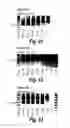 Fig. 10 - Antisense molecules and methods for treating pathologies